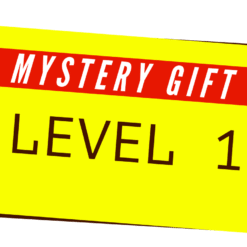 Level 1 Mystery Tech Gift -PiBOX India