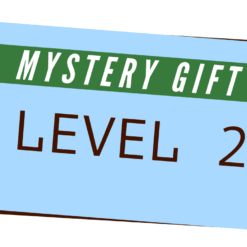 Level 2 Mystery Tech Gift -PiBOX India